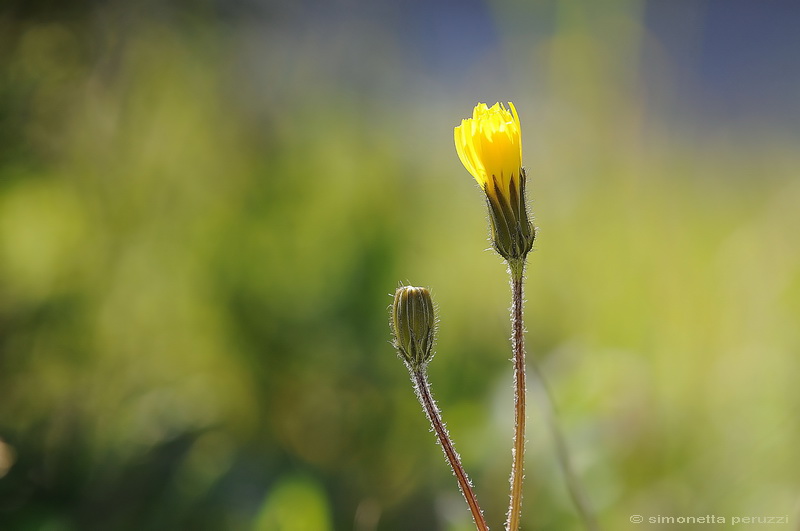 Aria di primavera...